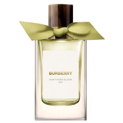 nước hoa burberry chính hãng|mua nước hoa burberry.